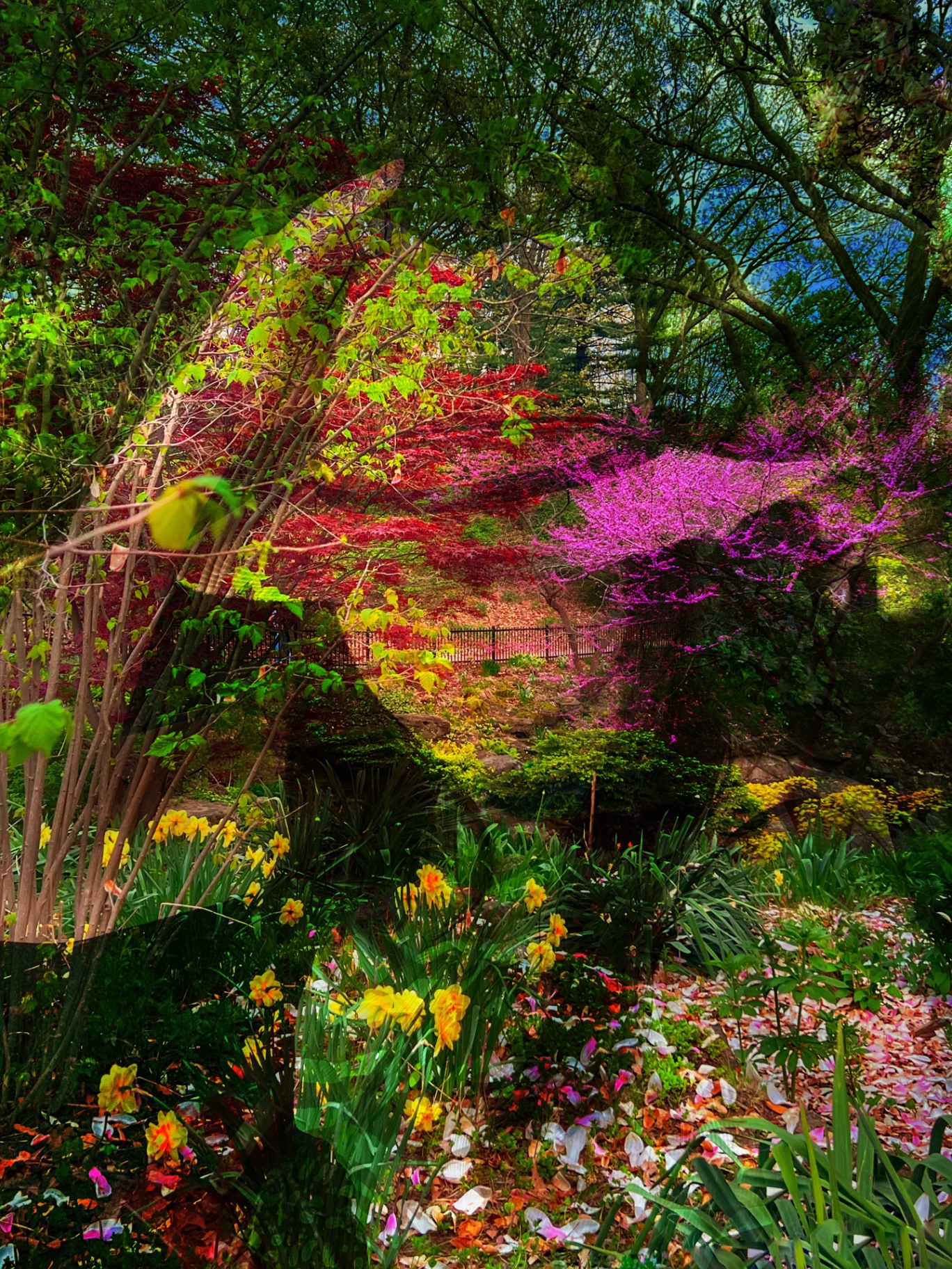 Garden Spectrum