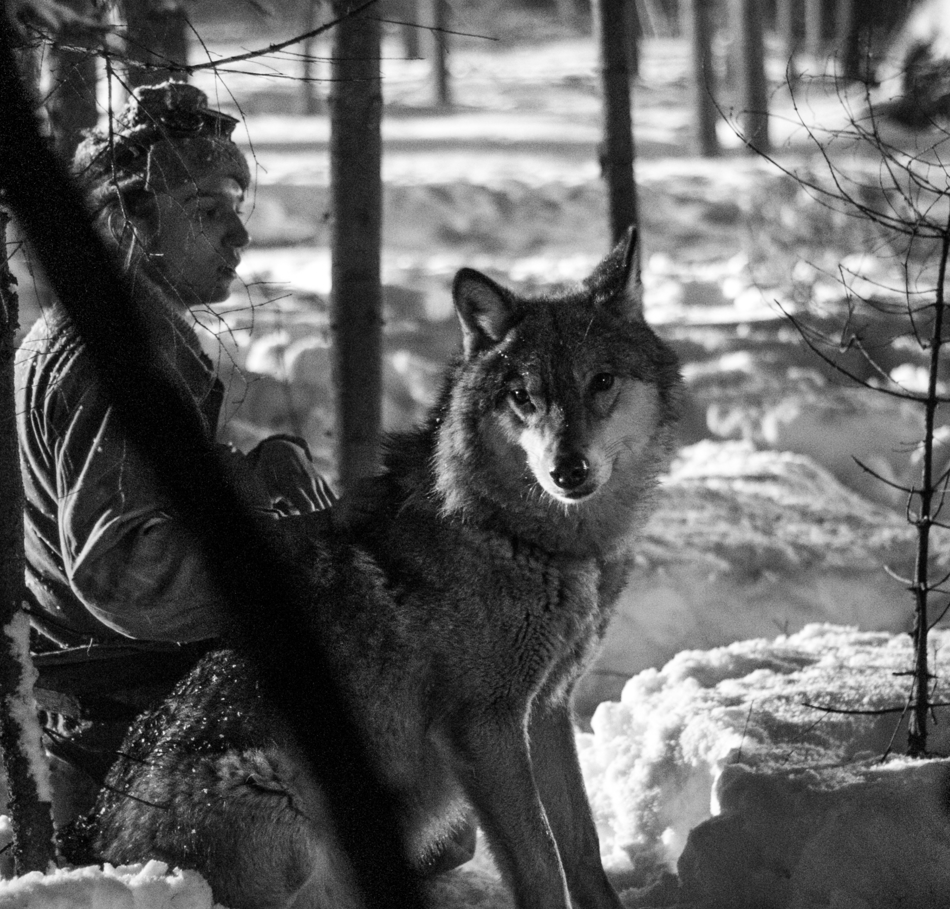 Black and white — handler with a wolf in a snowy forest at night